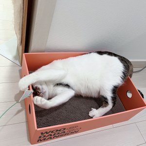 베스트 후기 이미지
