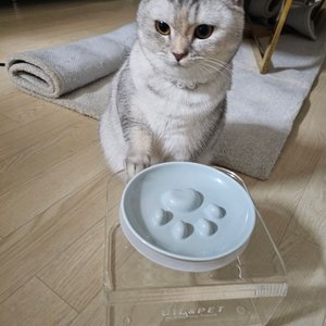 베스트 후기 이미지