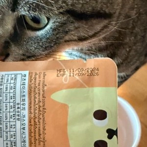 [브랜드전]캣츠테이스트 가스오부시 그레이비 파우치 70g 베스트 후기 이미지