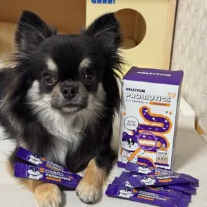 베스트 후기 이미지