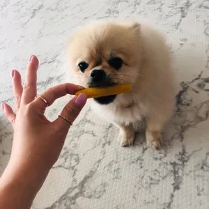 베스트 후기 이미지