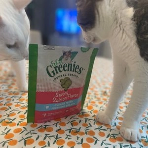 그리니즈 캣 필라인 덴탈 트릿 연어맛 130g 베스트 후기 이미지