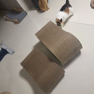 베스트 후기 이미지