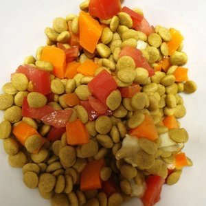 밥이보약 독 건강한 장 3.4kg 베스트 후기 이미지