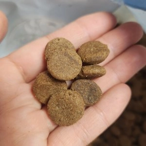 벨포아 독 란트굿 슈마우스 오리지날 7.5kg 베스트 후기 이미지