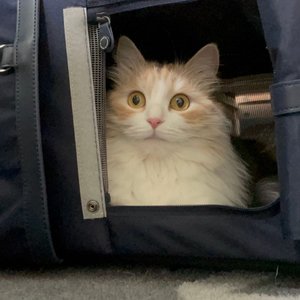 베스트 후기 이미지