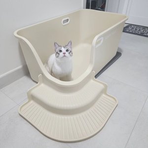 베스트 후기 이미지