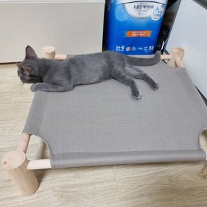 베스트 후기 이미지