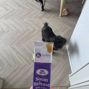 베스트 후기 이미지