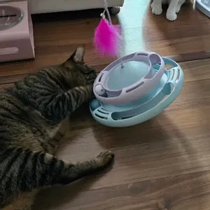 베스트 후기 이미지