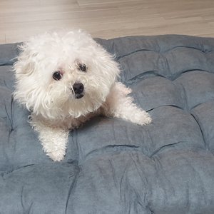 베스트 후기 이미지