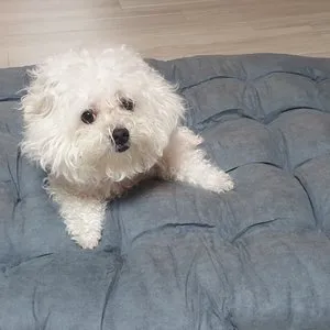 베스트 후기 이미지