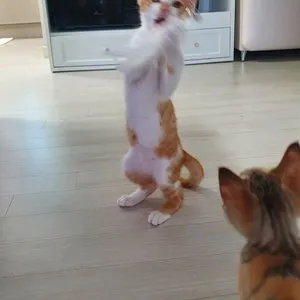 베스트 후기 이미지