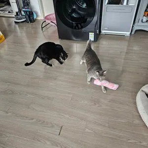 베스트 후기 이미지