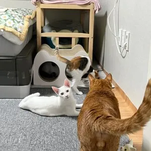 베스트 후기 이미지