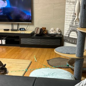 베스트 후기 이미지