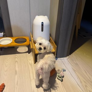 베스트 후기 이미지