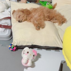 베스트 후기 이미지