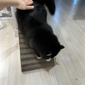 베스트 후기 이미지