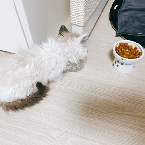 베스트 후기 이미지