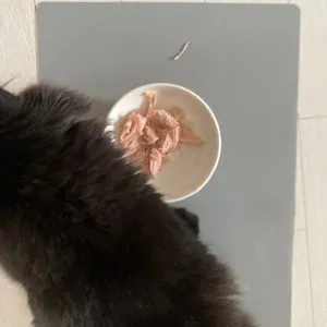 베스트 후기 이미지