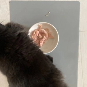 더리얼 필렛 닭가슴살 30g 베스트 후기 이미지