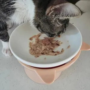 베스트 후기 이미지