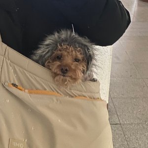 베스트 후기 이미지
