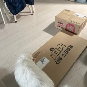 베스트 후기 이미지