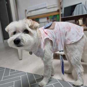 베스트 후기 이미지