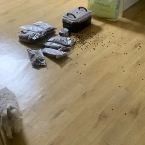 베스트 후기 이미지