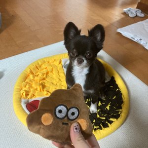 베스트 후기 이미지