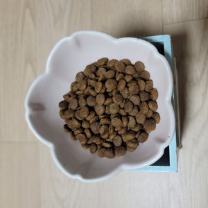 베스트 후기 이미지