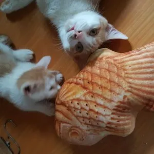 베스트 후기 이미지