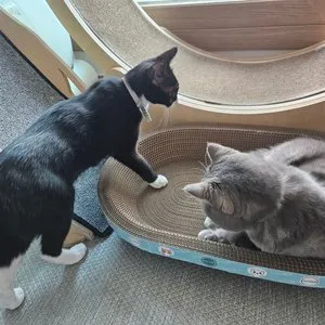 베스트 후기 이미지