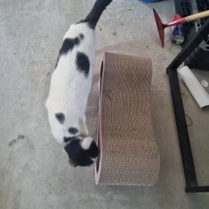 베스트 후기 이미지