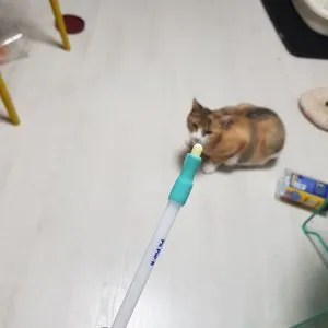 베스트 후기 이미지