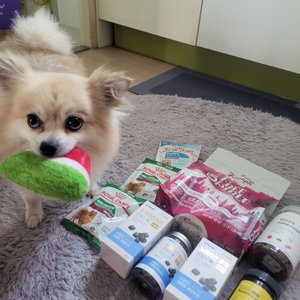 베스트 후기 이미지