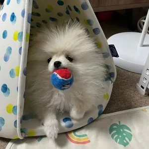 베스트 후기 이미지