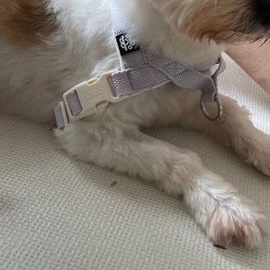 베스트 후기 이미지