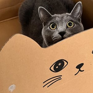 베스트 후기 이미지
