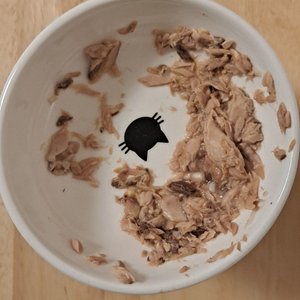 베스트 후기 이미지