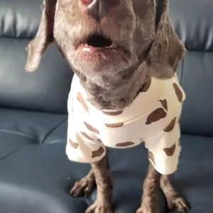 베스트 후기 이미지