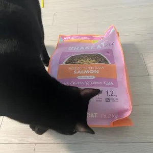 베스트 후기 이미지