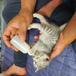 베스트 후기 이미지