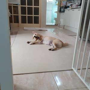 베스트 후기 이미지