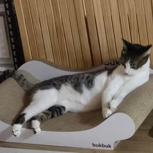 베스트 후기 이미지