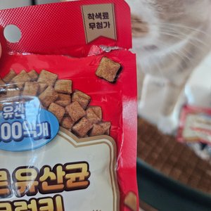 베스트 후기 이미지