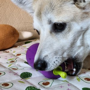 베스트 후기 이미지