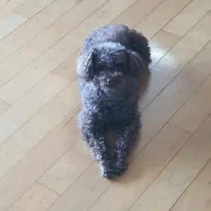 베스트 후기 이미지